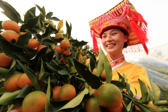 1702015732119900.png 640 (3).png