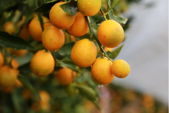 1702015755617393.png 640 (4).png