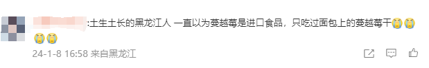 1706152119748699.png 640 (5).png